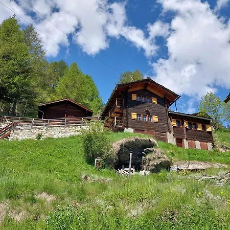 Mayen Farquesses Mayen De Montagne 4 Personnes Chalet