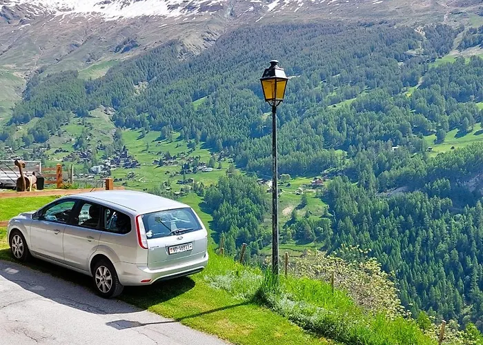 Mayen Farquesses Mayen De Montagne 4 Personnes * Evolène